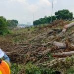 after-land-clearing-service