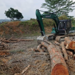 land-clearing-expert-heavy-machinery