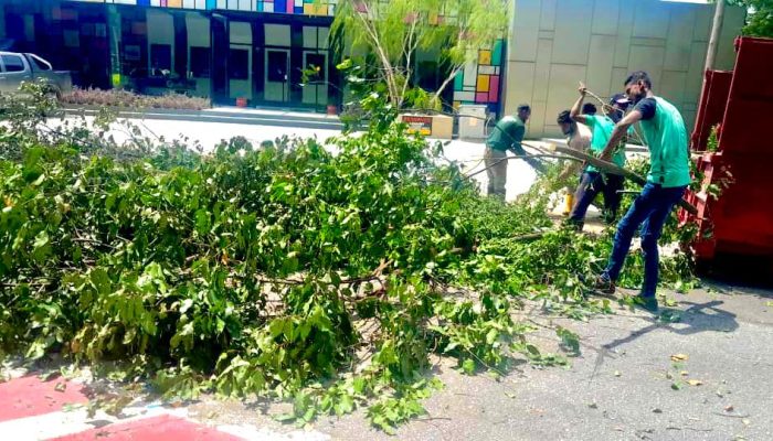 WhatsApp Image 2024-07-11 at 10.39.42 AM