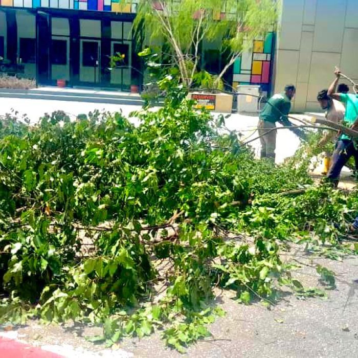 WhatsApp Image 2024-07-11 at 10.39.42 AM