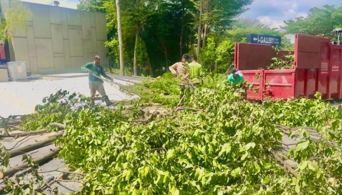 WhatsApp Image 2024-07-11 at 10.39.43 AM (1)