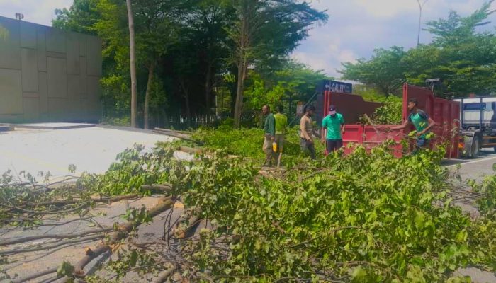 WhatsApp Image 2024-07-11 at 10.39.43 AM (2)