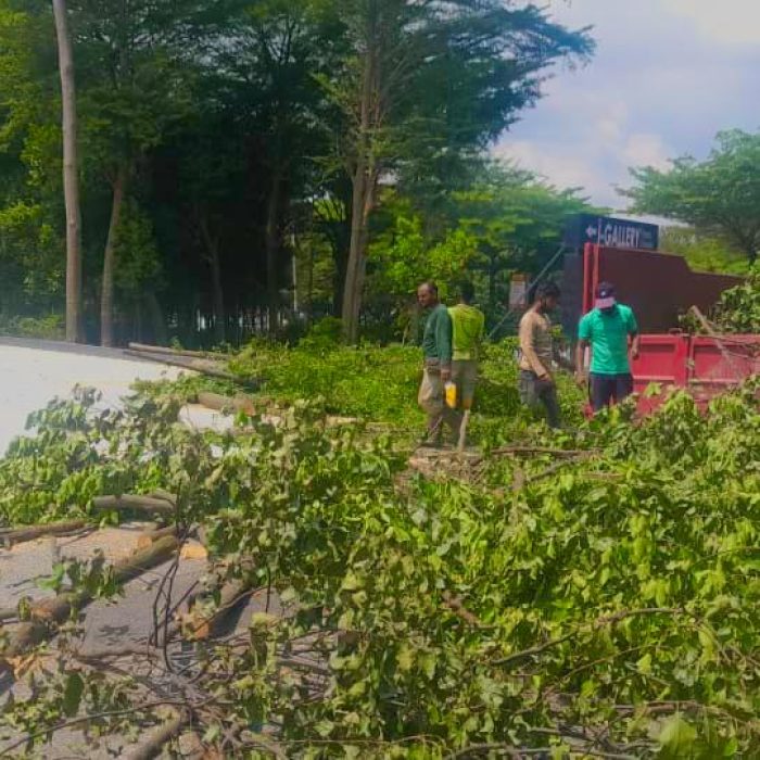 WhatsApp Image 2024-07-11 at 10.39.43 AM (2)