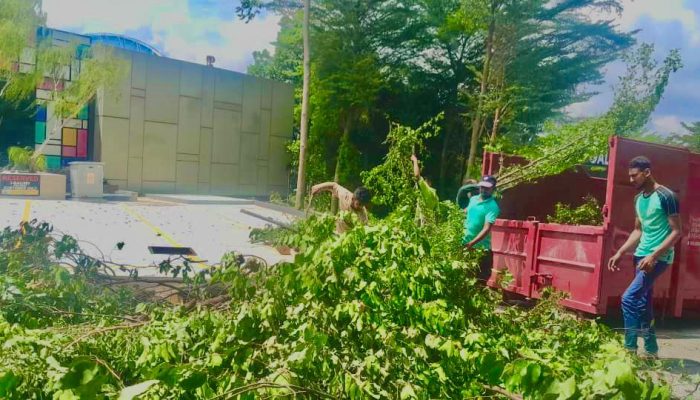 WhatsApp Image 2024-07-11 at 10.39.43 AM