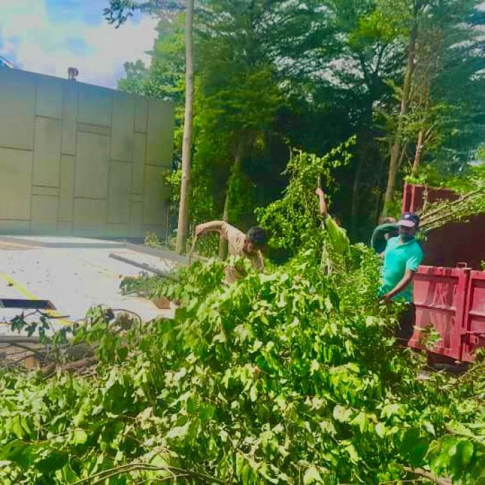 WhatsApp Image 2024-07-11 at 10.39.43 AM