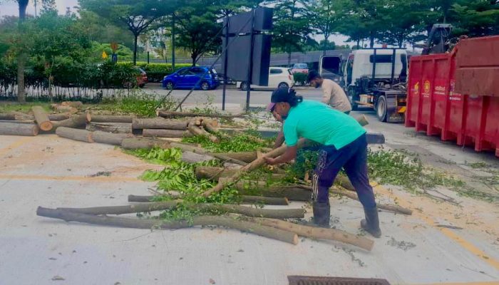 WhatsApp Image 2024-07-11 at 10.39.44 AM (1)