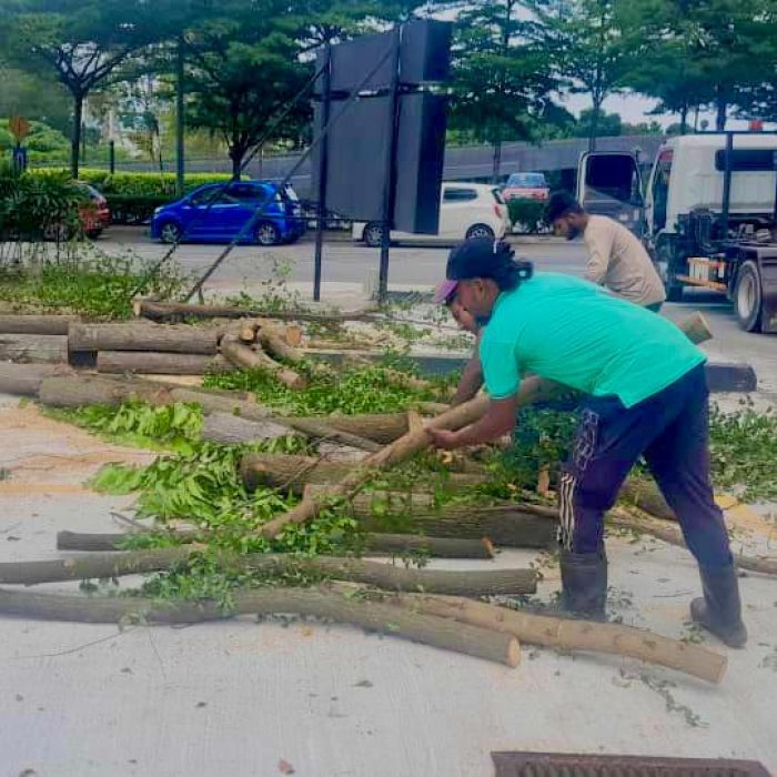 WhatsApp Image 2024-07-11 at 10.39.44 AM (1)