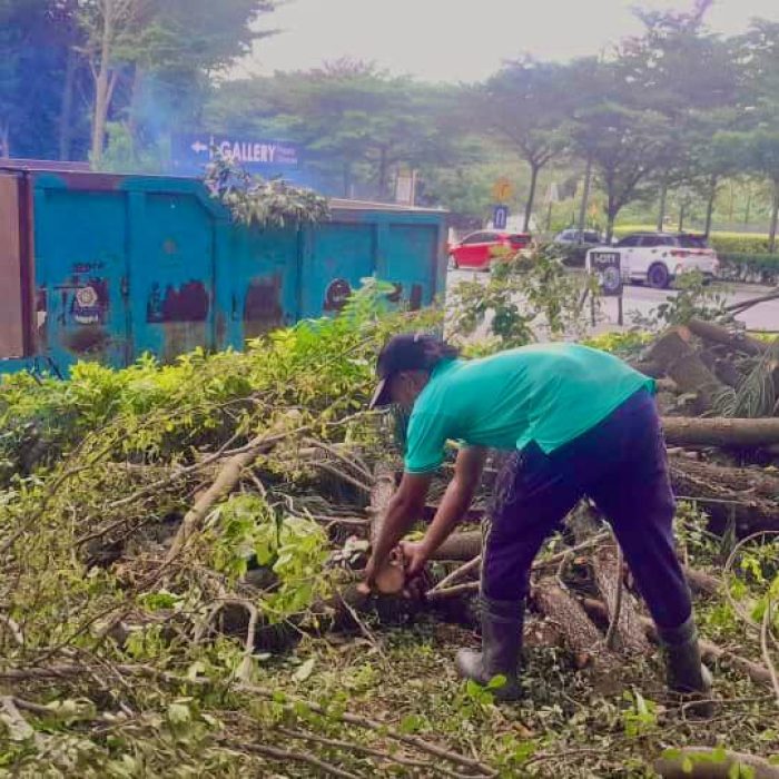 WhatsApp Image 2024-07-11 at 10.39.44 AM (2)