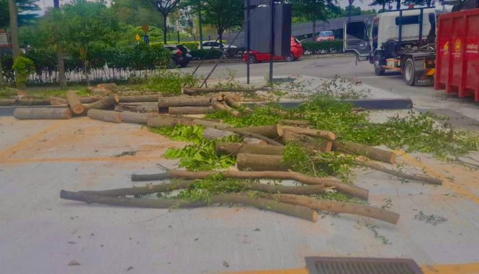 WhatsApp Image 2024-07-11 at 10.39.44 AM