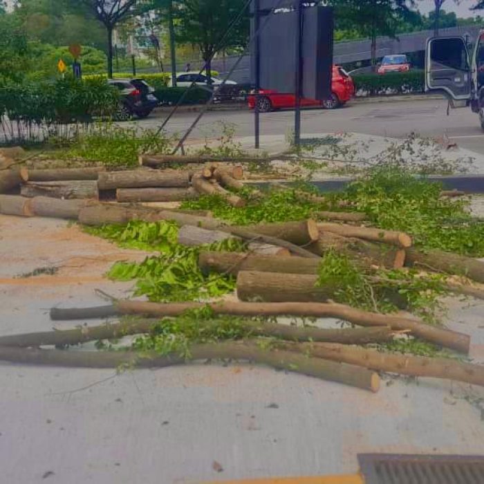 WhatsApp Image 2024-07-11 at 10.39.44 AM