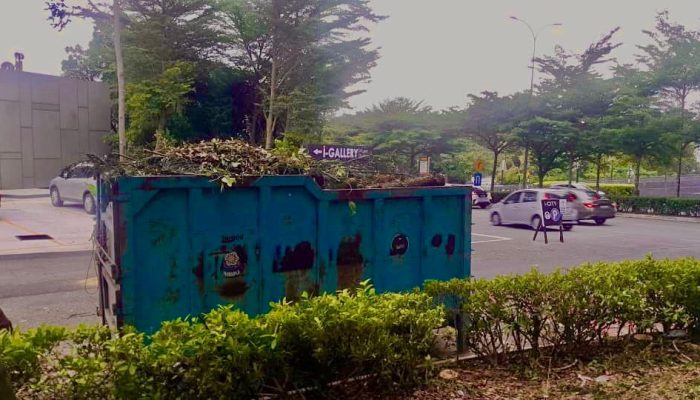 WhatsApp Image 2024-07-11 at 10.39.45 AM (1)