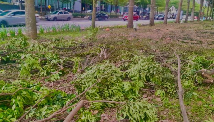 WhatsApp Image 2024-07-11 at 10.39.45 AM