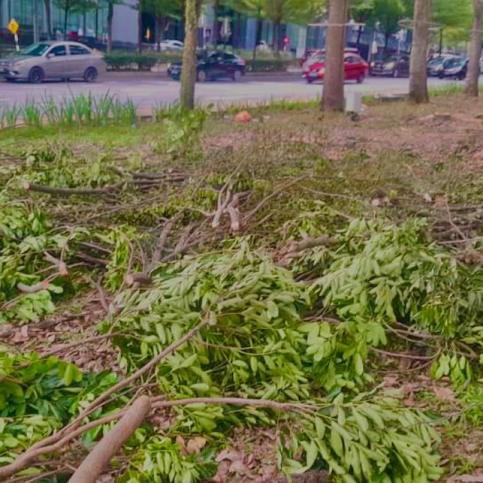 WhatsApp Image 2024-07-11 at 10.39.45 AM