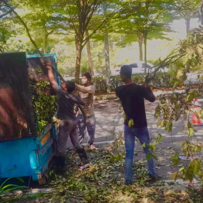 WhatsApp Image 2024-07-11 at 10.39.46 AM