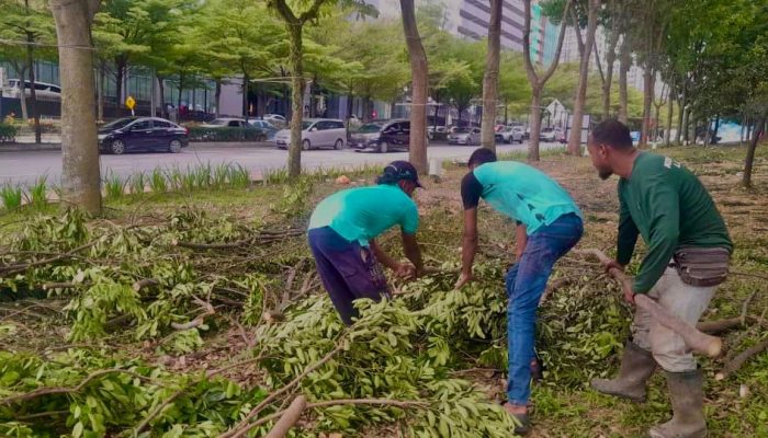 WhatsApp Image 2024-07-11 at 10.39.47 AM (1)