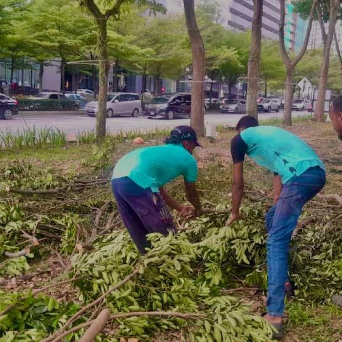 WhatsApp Image 2024-07-11 at 10.39.47 AM (1)