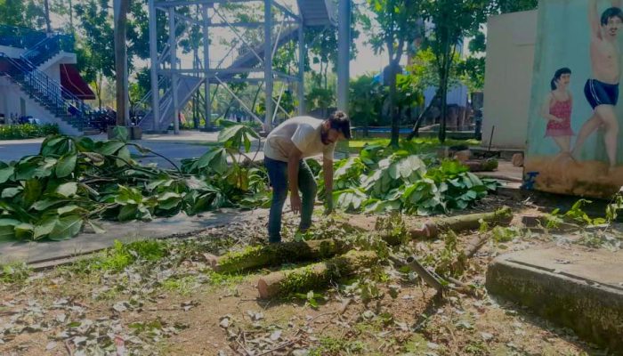 WhatsApp Image 2024-07-11 at 10.39.47 AM