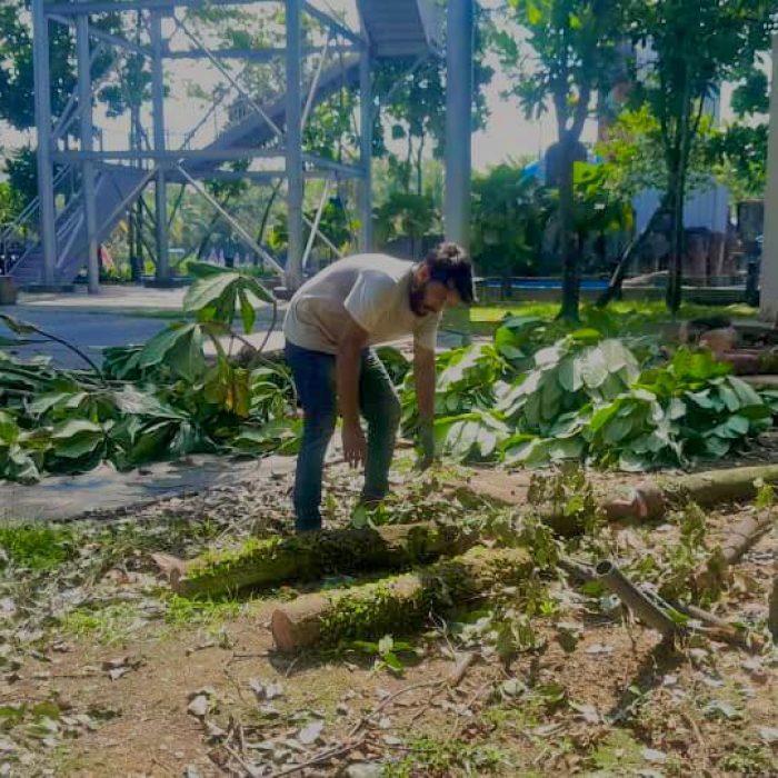 WhatsApp Image 2024-07-11 at 10.39.47 AM